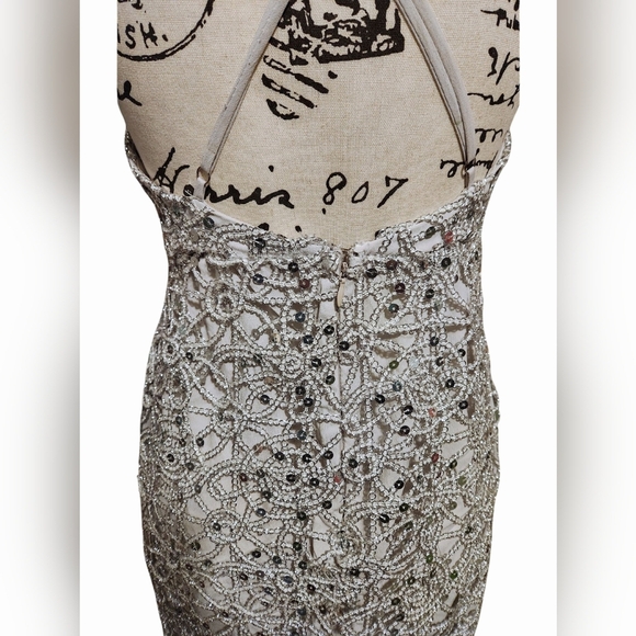 Forever 21 Plunging Silver Seguin Maxi Dress - Picture 9 of 12